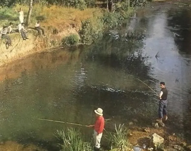 Clos Des Glycines * Lésigny
